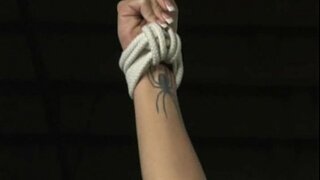 Harmonía - Prostituta Formación - película Completa